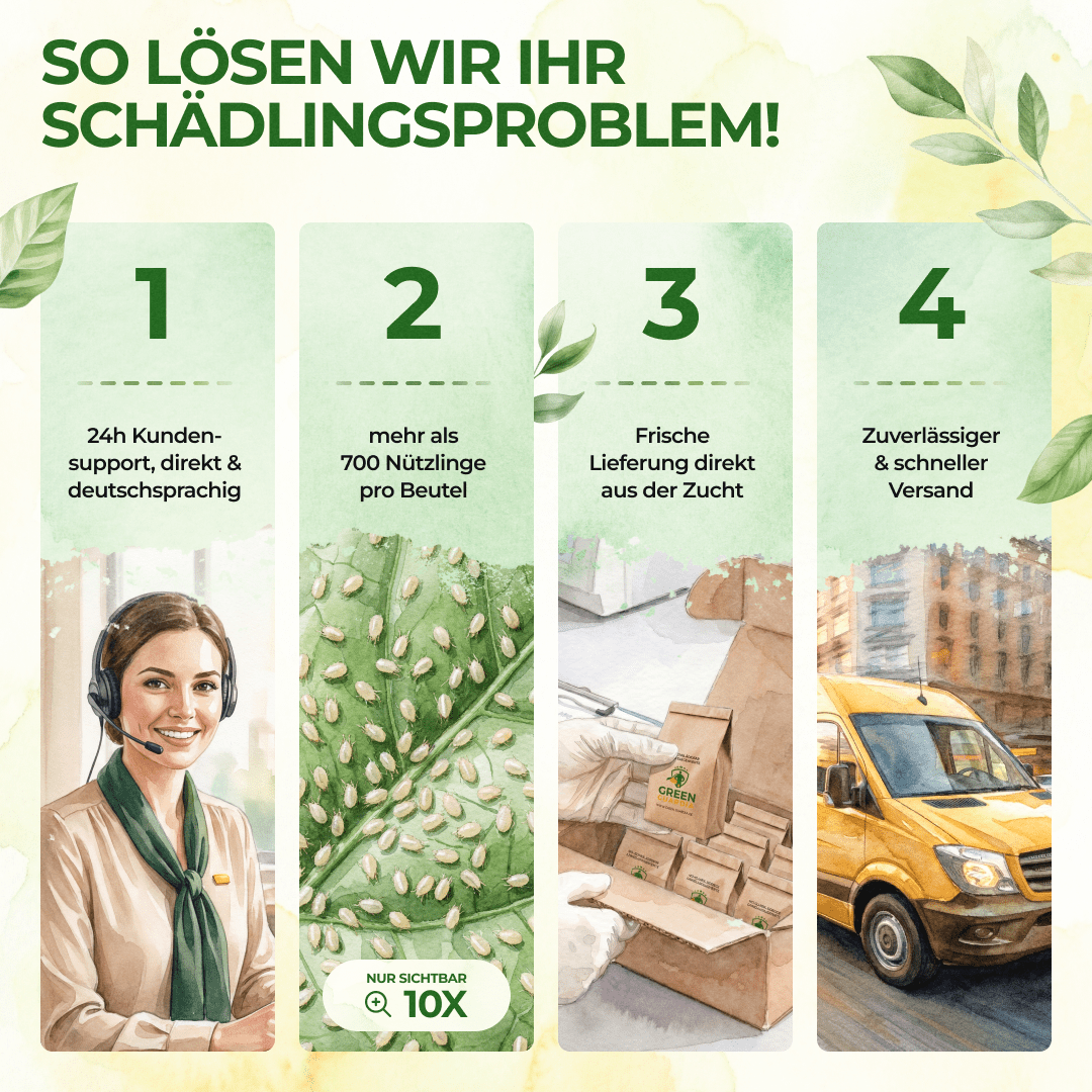 green-guardia-raubmilben-mix-streuware-1-t-te-f-r-10m image 8