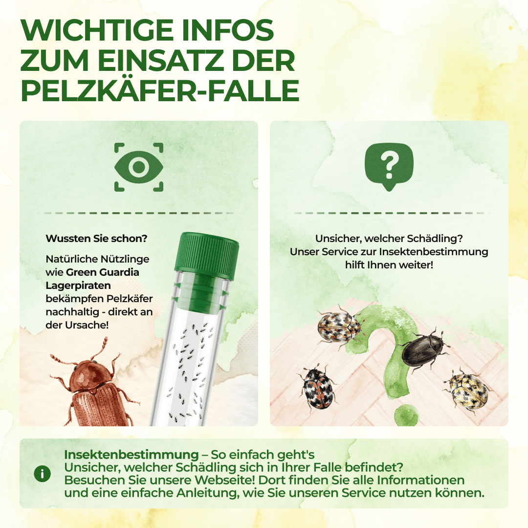 green-guardia-mehrweg-pelzk-fer-falle-3x-giftfrei image 5