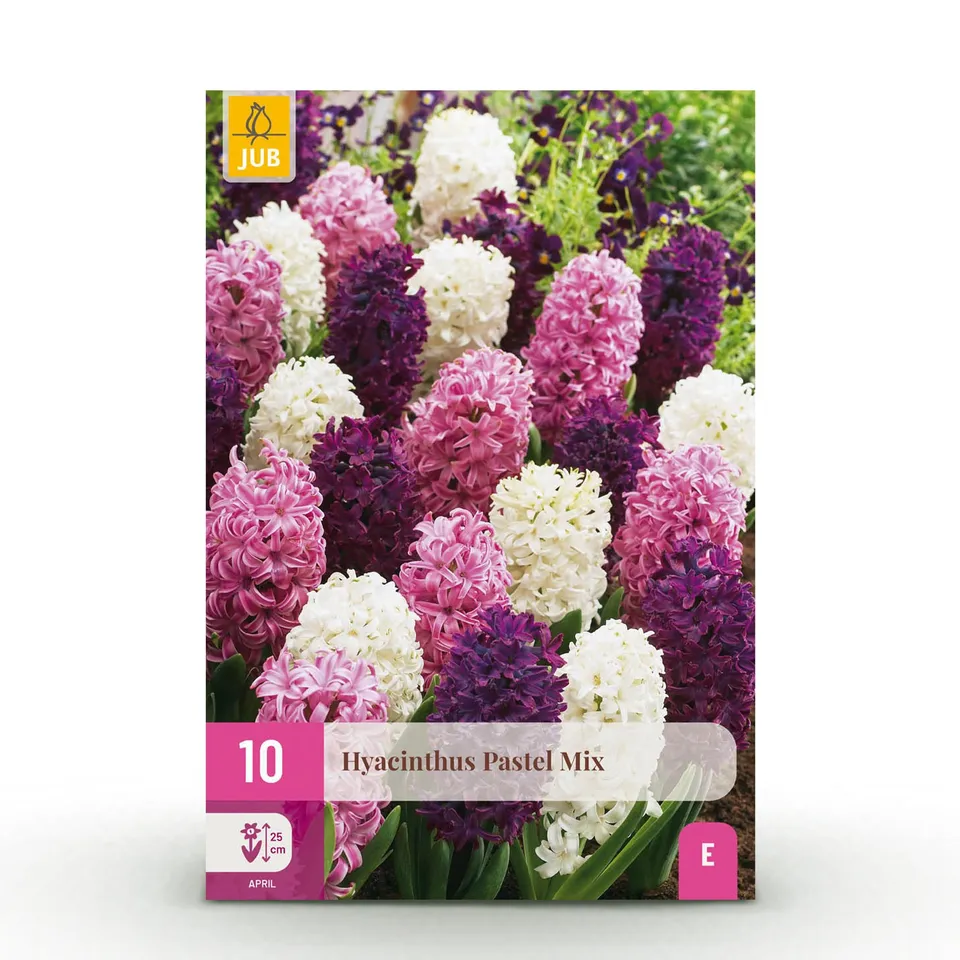 green-guardia-hyazinthe-pastel-mix-blumenzwiebeln-10-st-ck-winterhart image 1