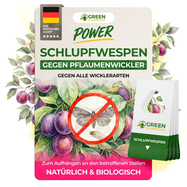 green-guardia-schlupfwespen-gegen-pflaumenwickler-3-karten-chemiefrei image 1