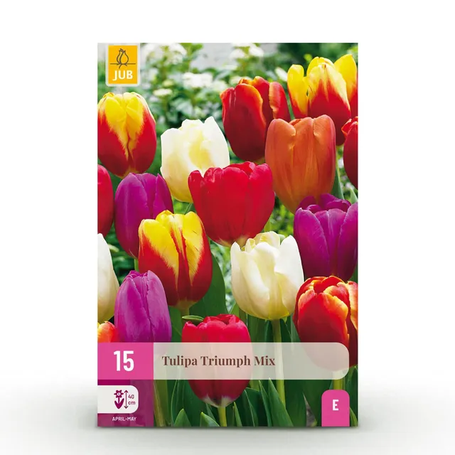green-guardia-unsere-pflanzen-tulpe-triumph-mix-blumenzwiebeln-15-st-ck image 1