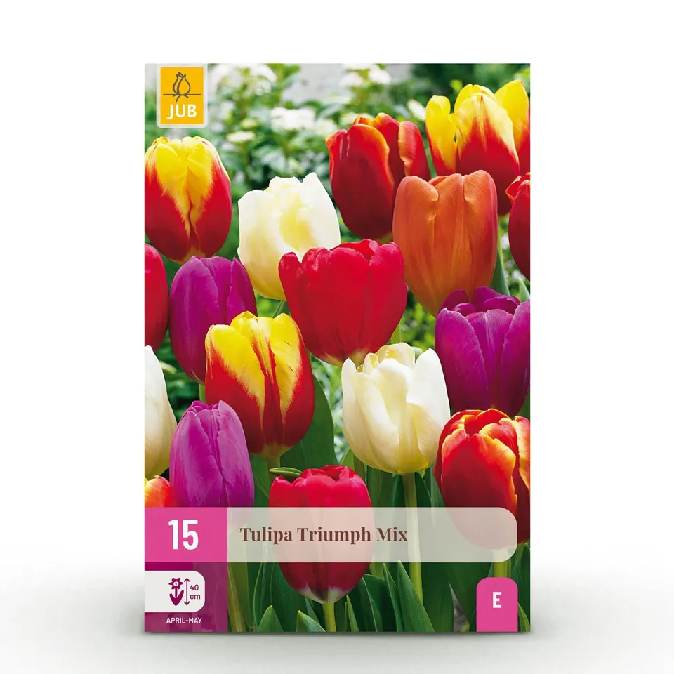 green-guardia-unsere-pflanzen-tulpe-triumph-mix-blumenzwiebeln-15-st-ck image 1