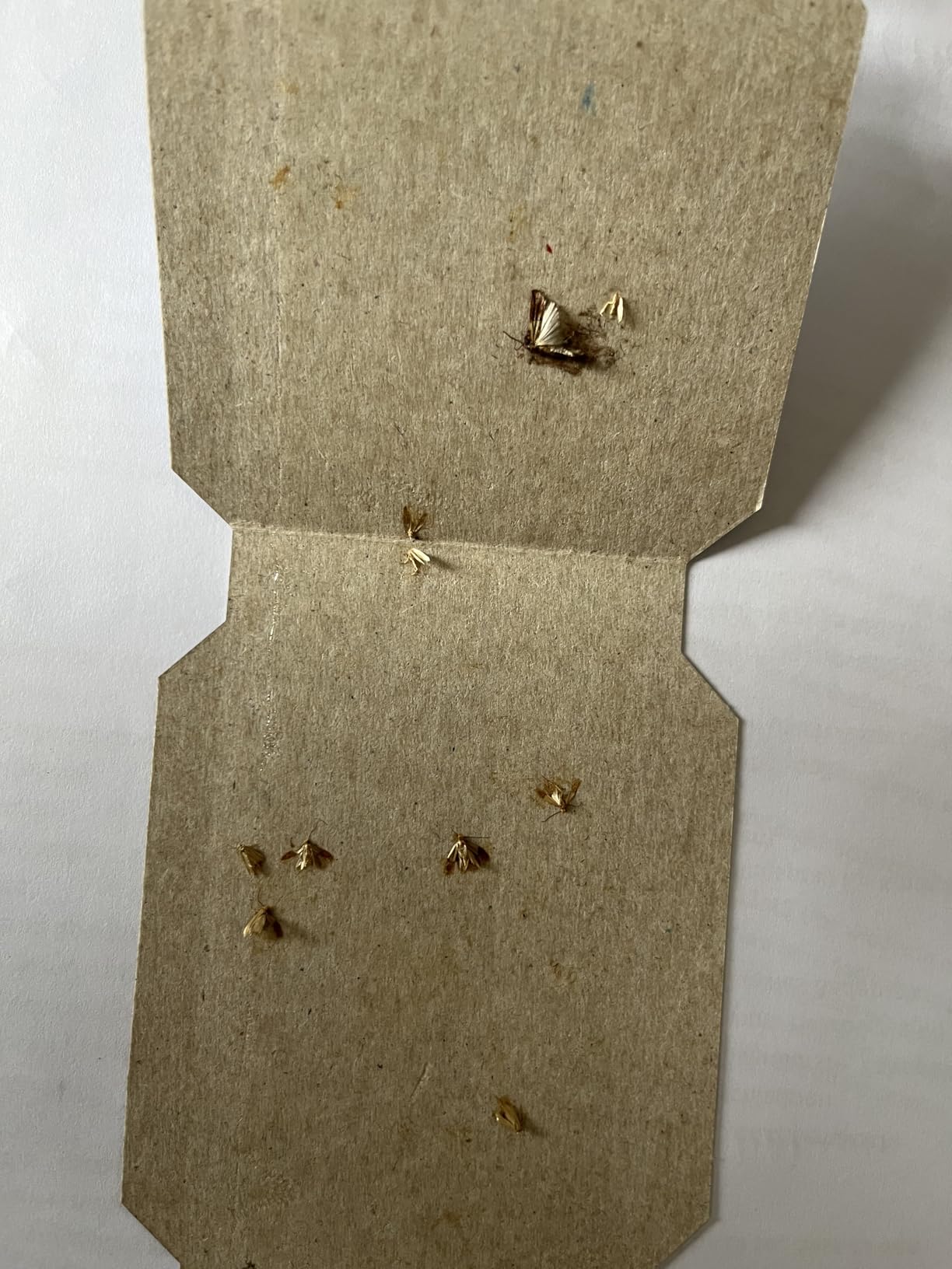 Im Schrank unauffällig