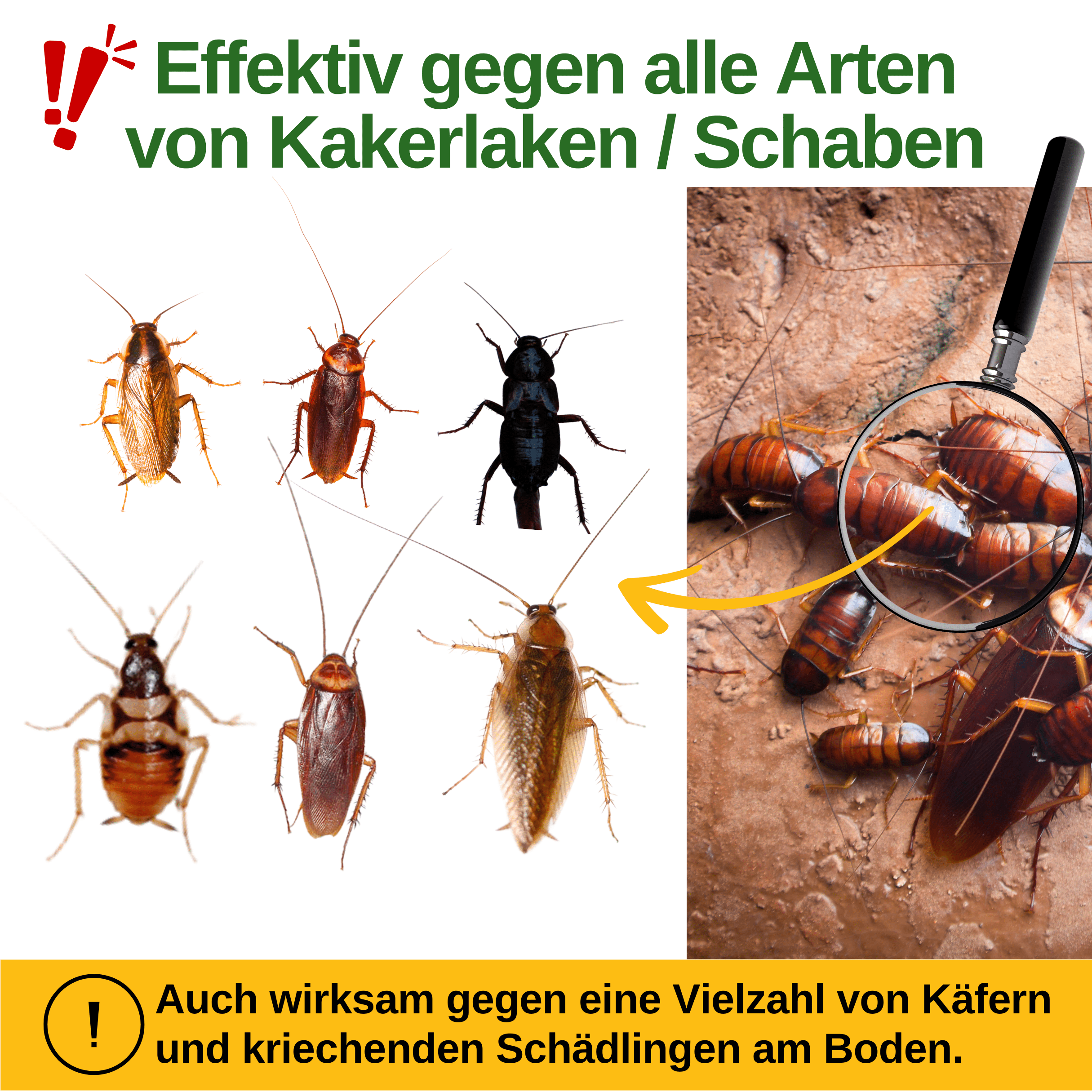 green-guardia-mehrweg-schaben-falle-2x-ohne-gift image 2