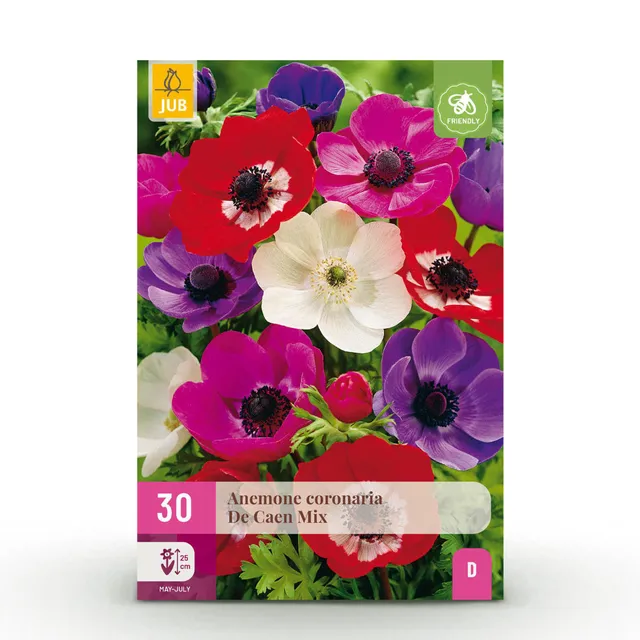 green-guardia-anemone-de-caen-mix-blumenzwiebeln-30-st-ck-winterhart image 1