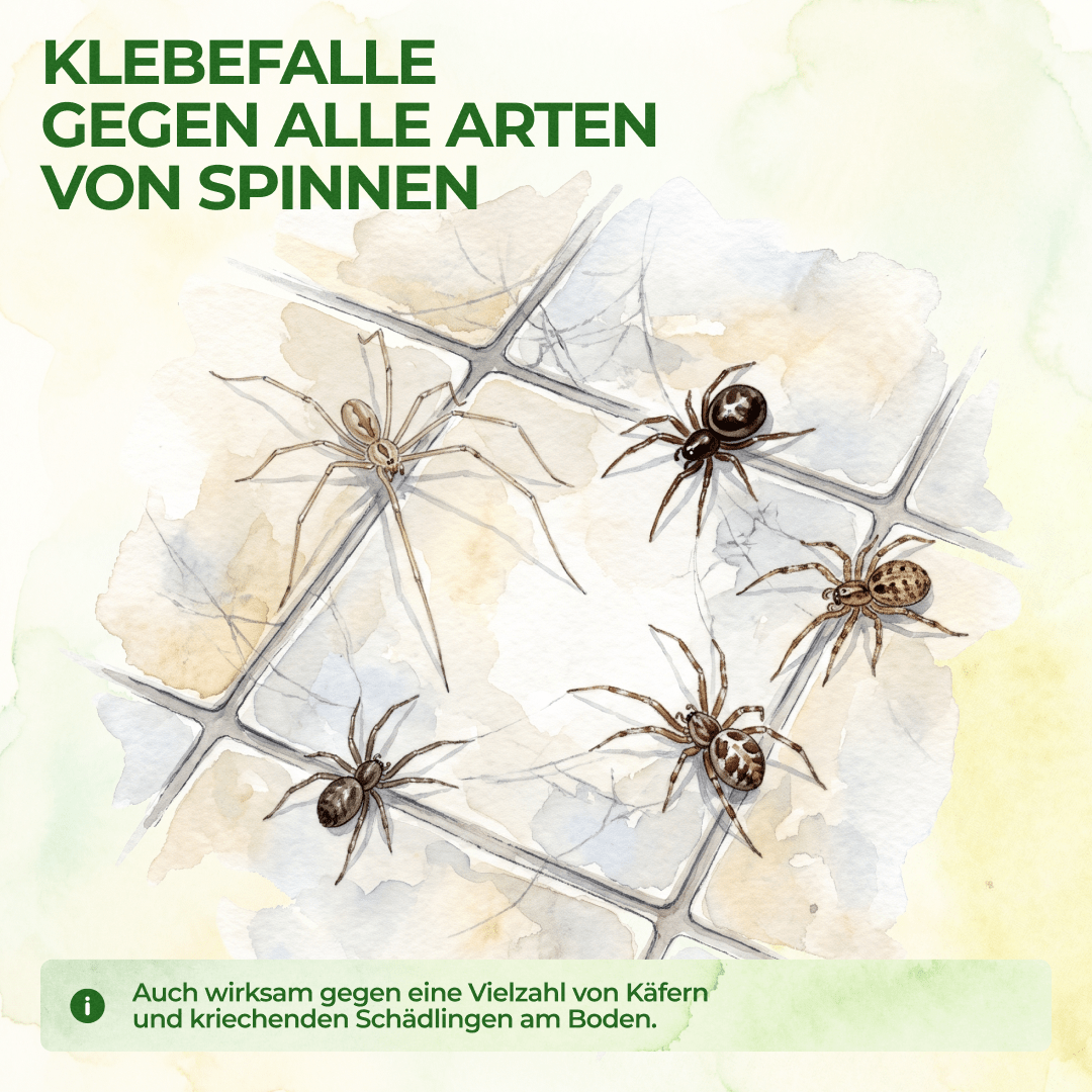 green-guardia-mehrweg-fallen-spinnenfalle-klebefalle-3x-giftfrei image 2
