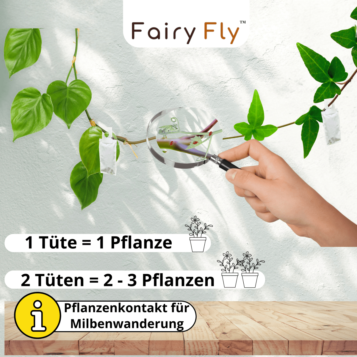 fairyfly-raubmilben-trio-thripse-spinnmilben-3-t-ten image 4