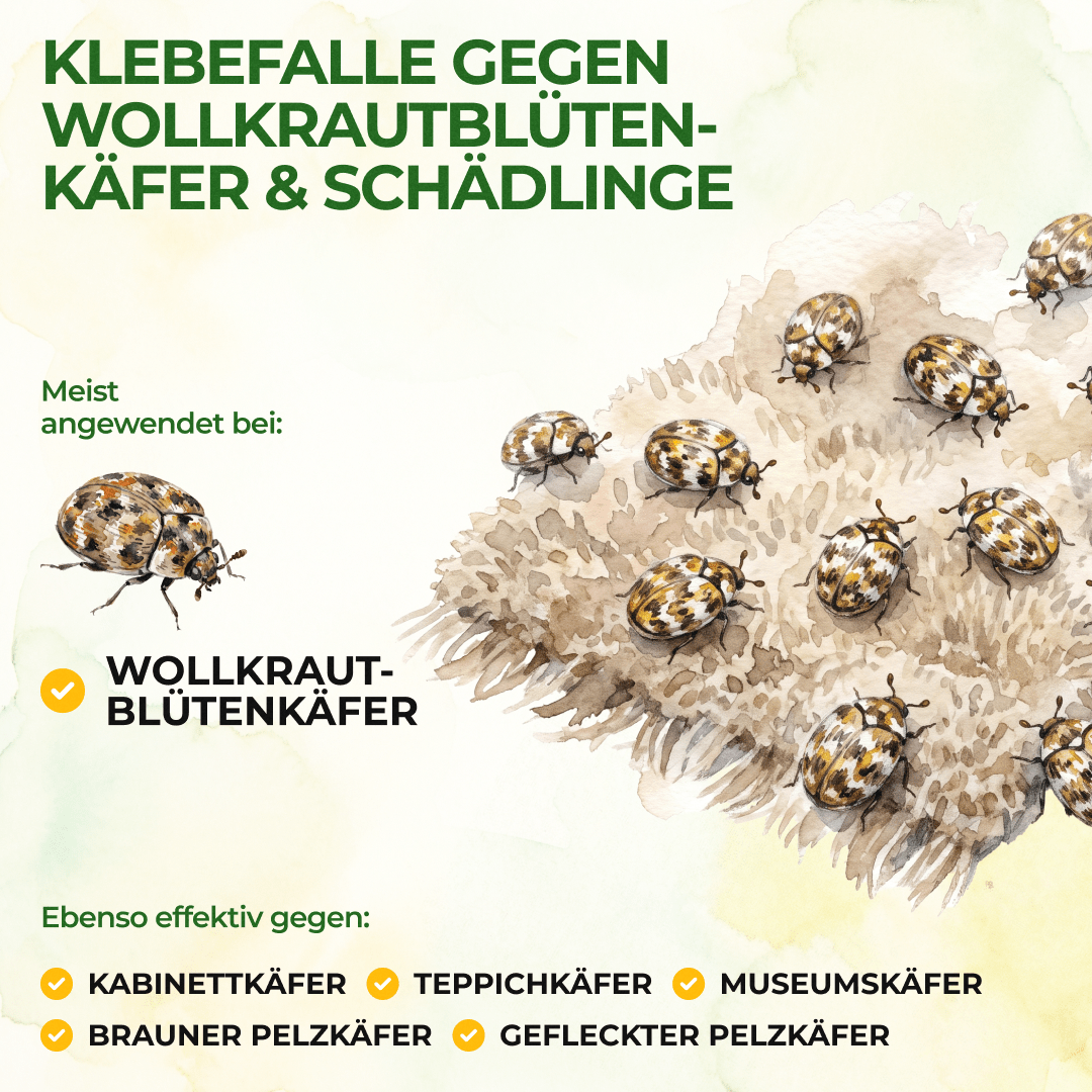 green-guardia-mehrweg-fallen-wollkrautbl-tenk-fer-klebefalle-3x-giftfrei image 2