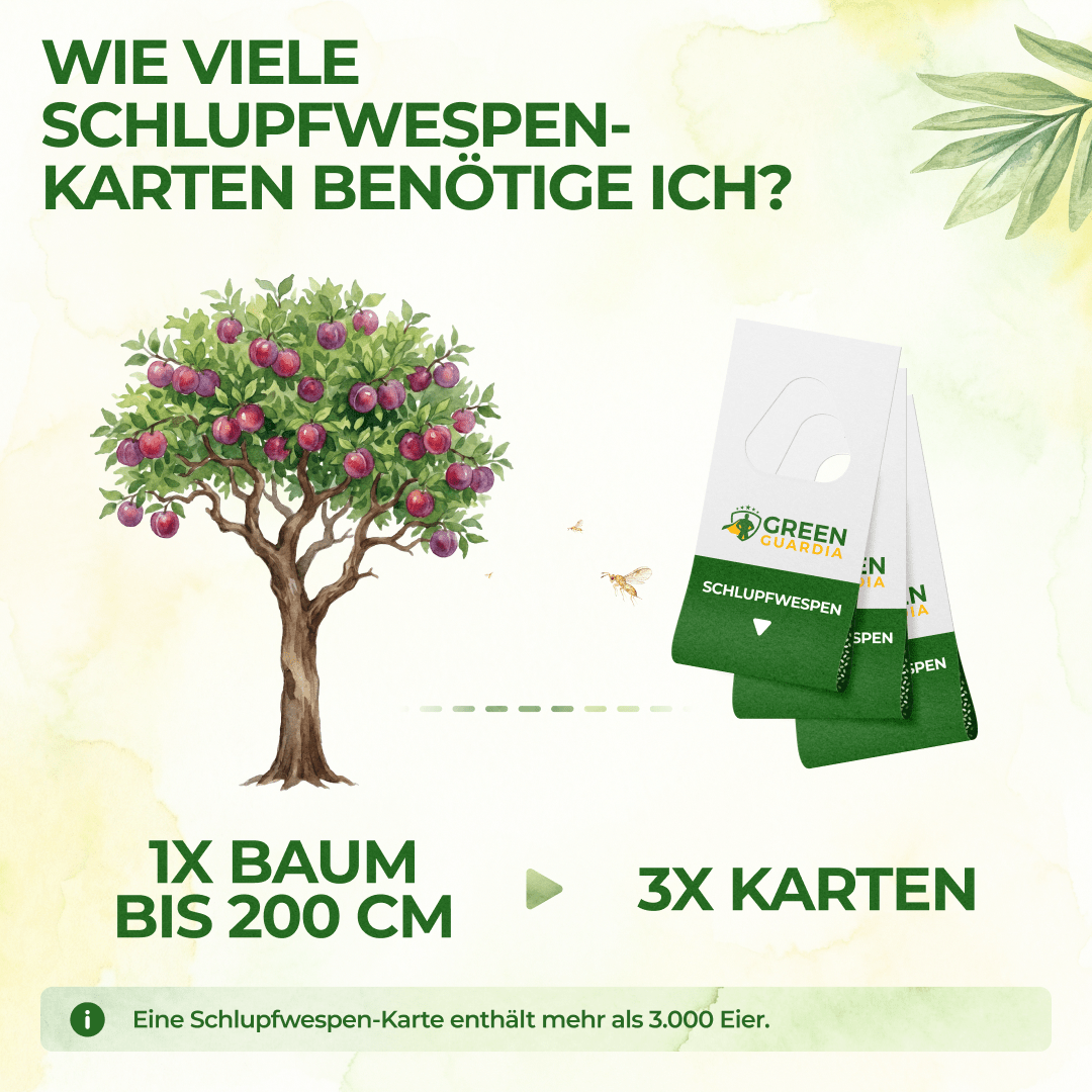 green-guardia-schlupfwespen-gegen-pflaumenwickler-3-karten-chemiefrei image 3