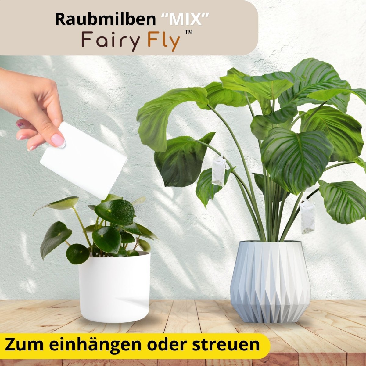 fairyfly-raubmilben-mix-gegen-thripse-spinnmilben-2-t-tchen image 4