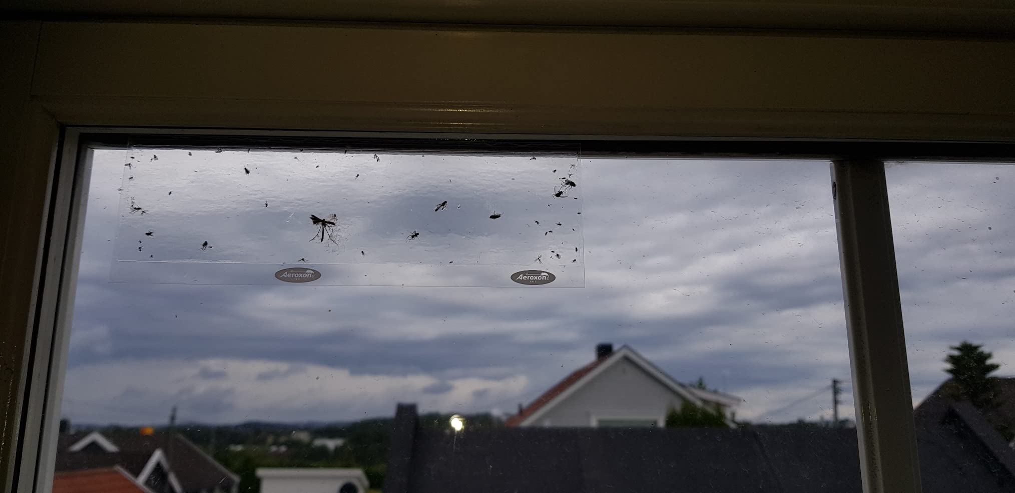 Unauffällig im Wohnzimmer