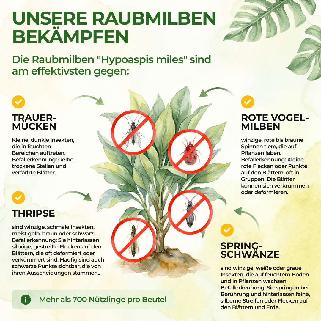 green-guardia-raubmilben-mix-streuware-1-t-te-f-r-10m image 2