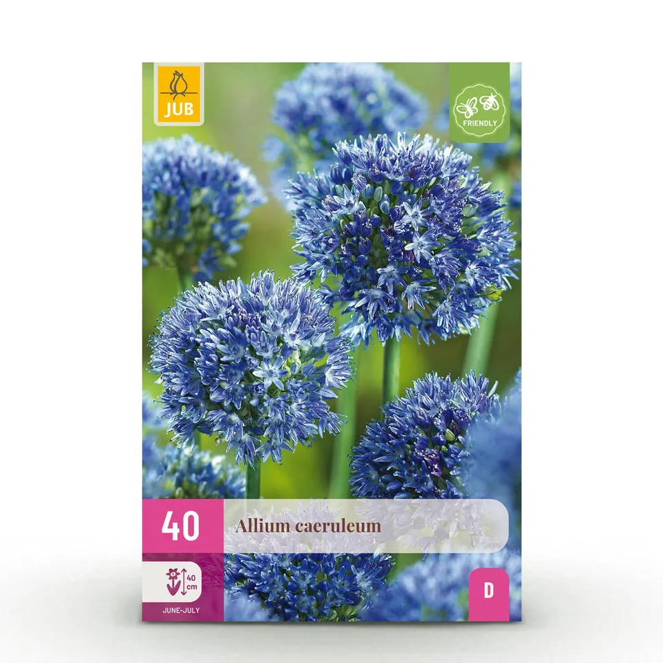green-guardia-unsere-pflanzen-allium-blumenzwiebeln-40-st-ck-blau image 1