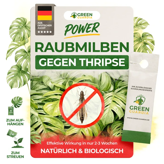 green-guardia-raubmilben-gegen-thripse-n-tzlinge-1-t-te image 1