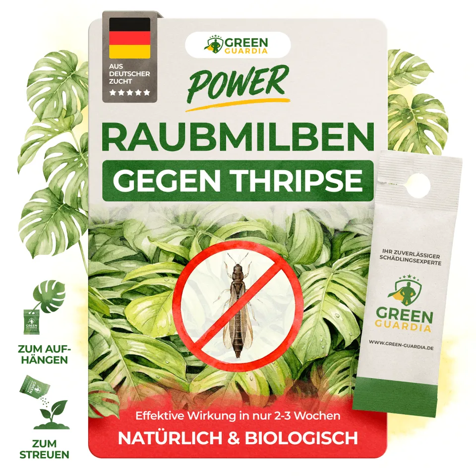 green-guardia-raubmilben-gegen-thripse-n-tzlinge-1-t-te image 1