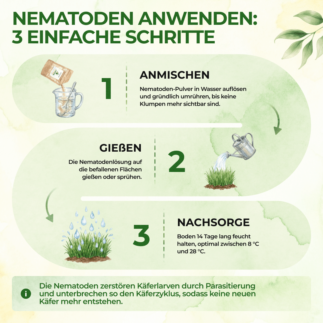 green-guardia-nematoden-kiefernprozessionsspinner-5-mio-10m image 2