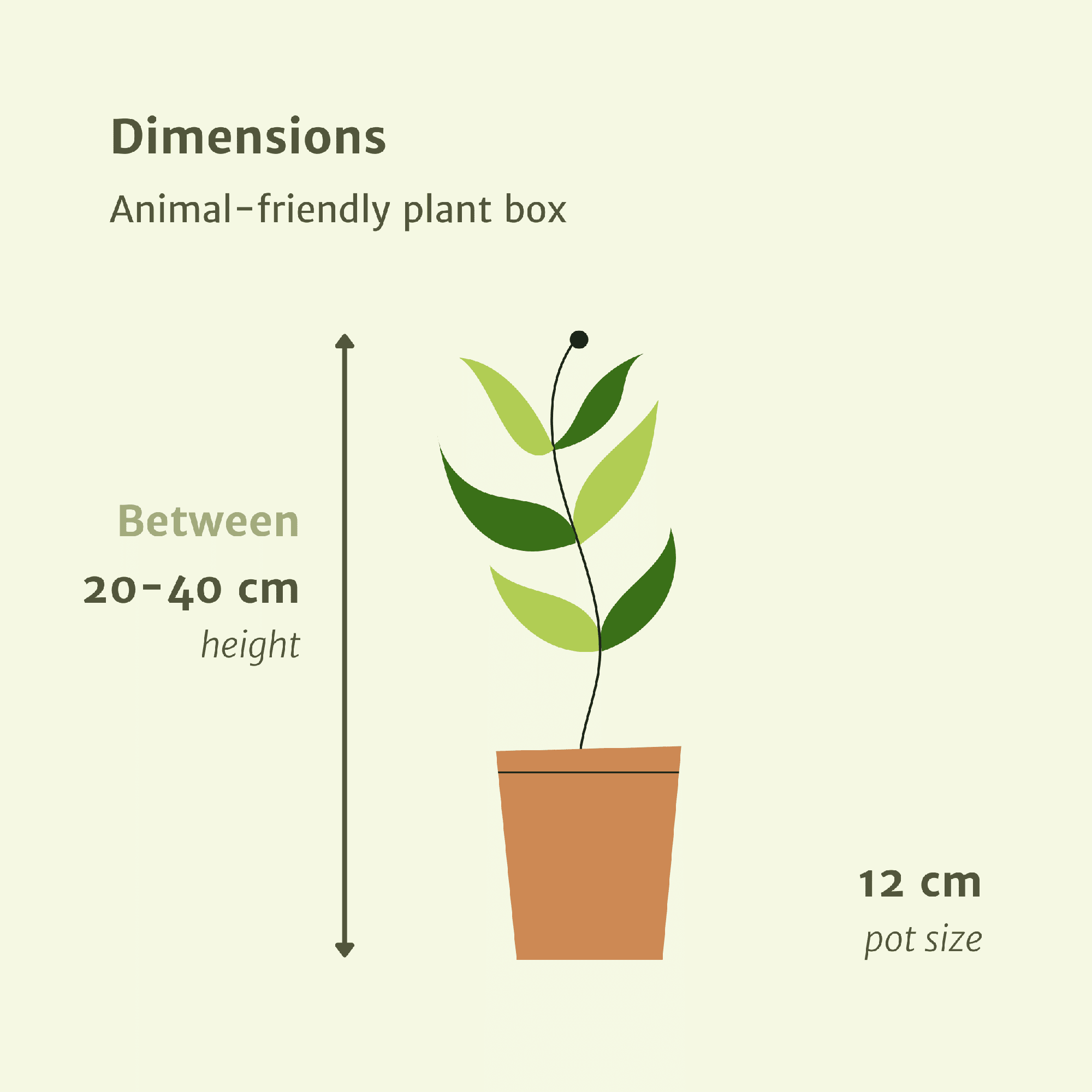 green-guardia-unsere-pflanzen-tierfreundliche-pflanzenbox-4-pflanzen image 2