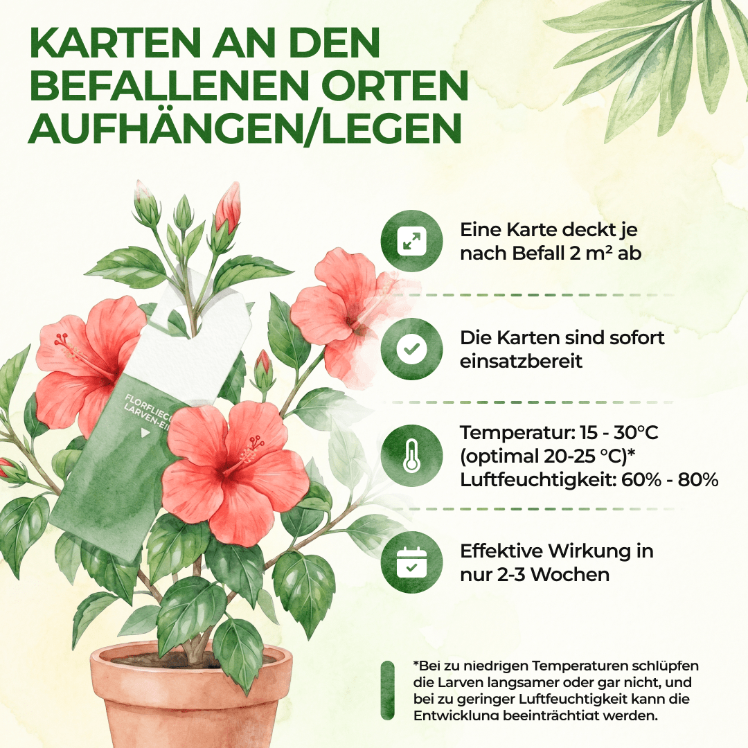 green-guardia-florfliegeneier-n-tzlinge-1-karte-blattl-use image 5