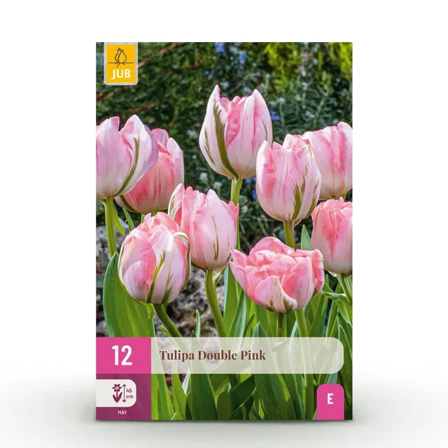 green-guardia-unsere-pflanzen-tulpe-double-pink-12-blumenzwiebeln-rosa image 1
