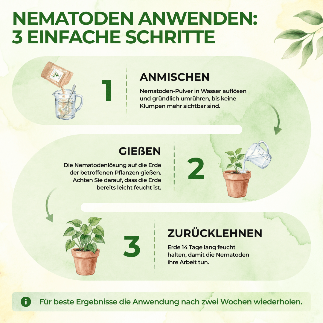 green-guardia-nematoden-sf-gegen-trauerm-cken-n-tzlinge-0-5-mio-f-r-1m image 4