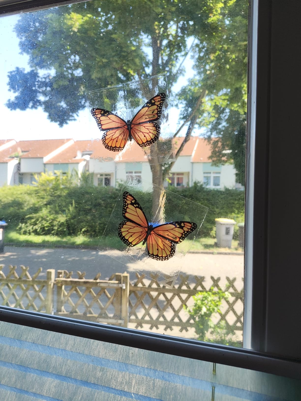 Riecht nicht