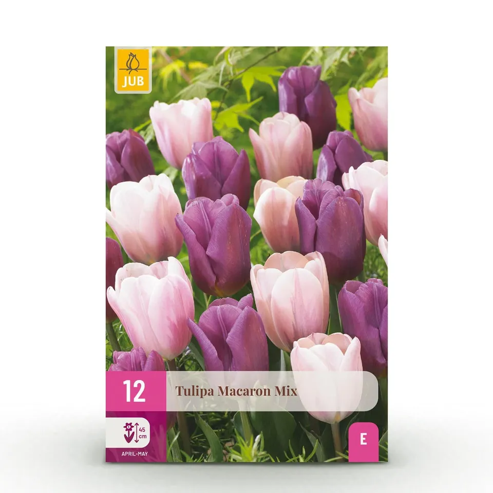 green-guardia-unsere-pflanzen-tulpe-macron-mix-12-zwiebeln image 1