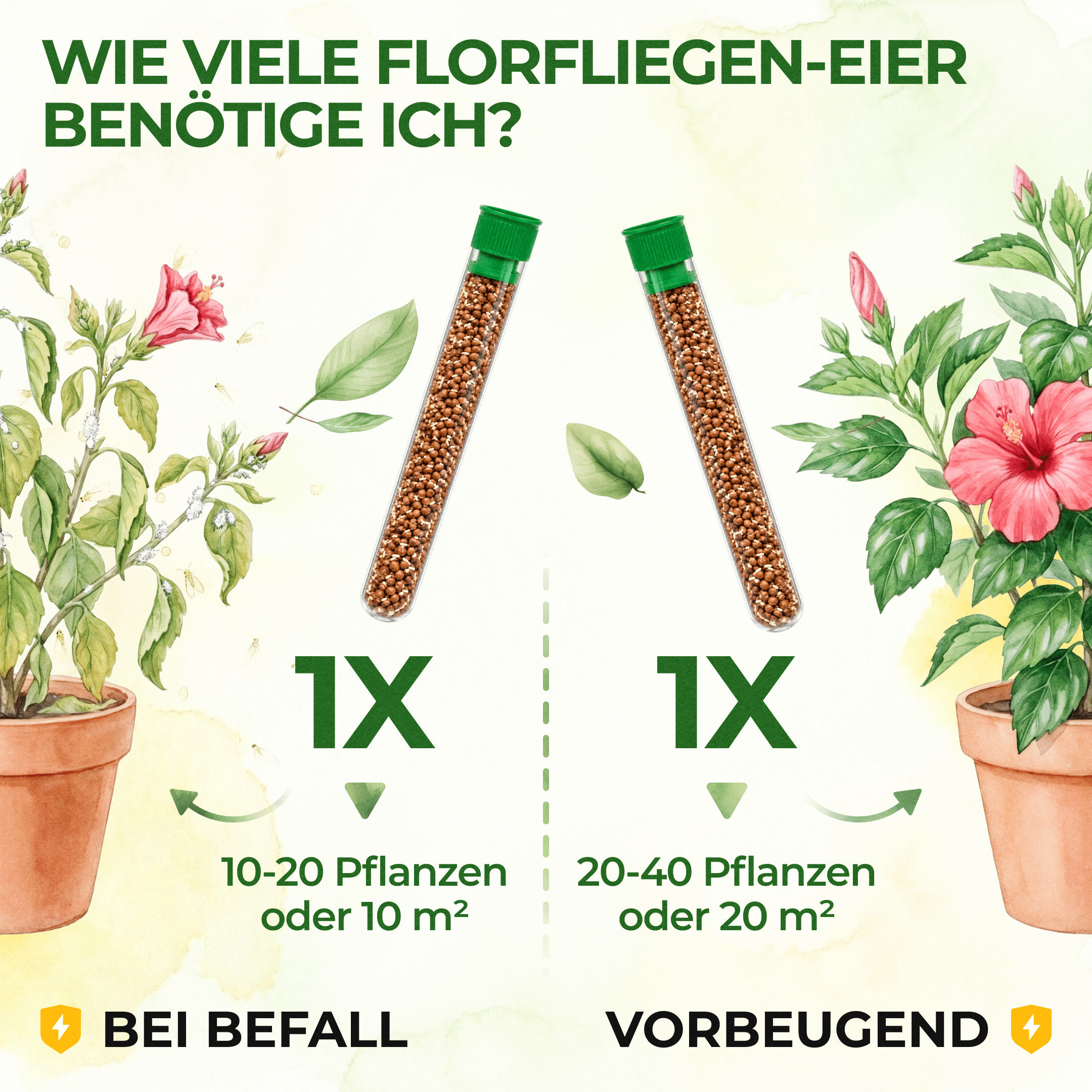 green-guardia-florfliegeneier-blattl-use-1-r-hrchen-10m image 4