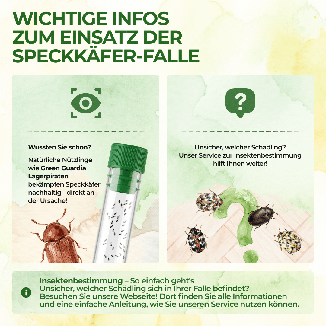 green-guardia-speckk-fer-falle-klebefalle-1-falle-chemiefrei image 7