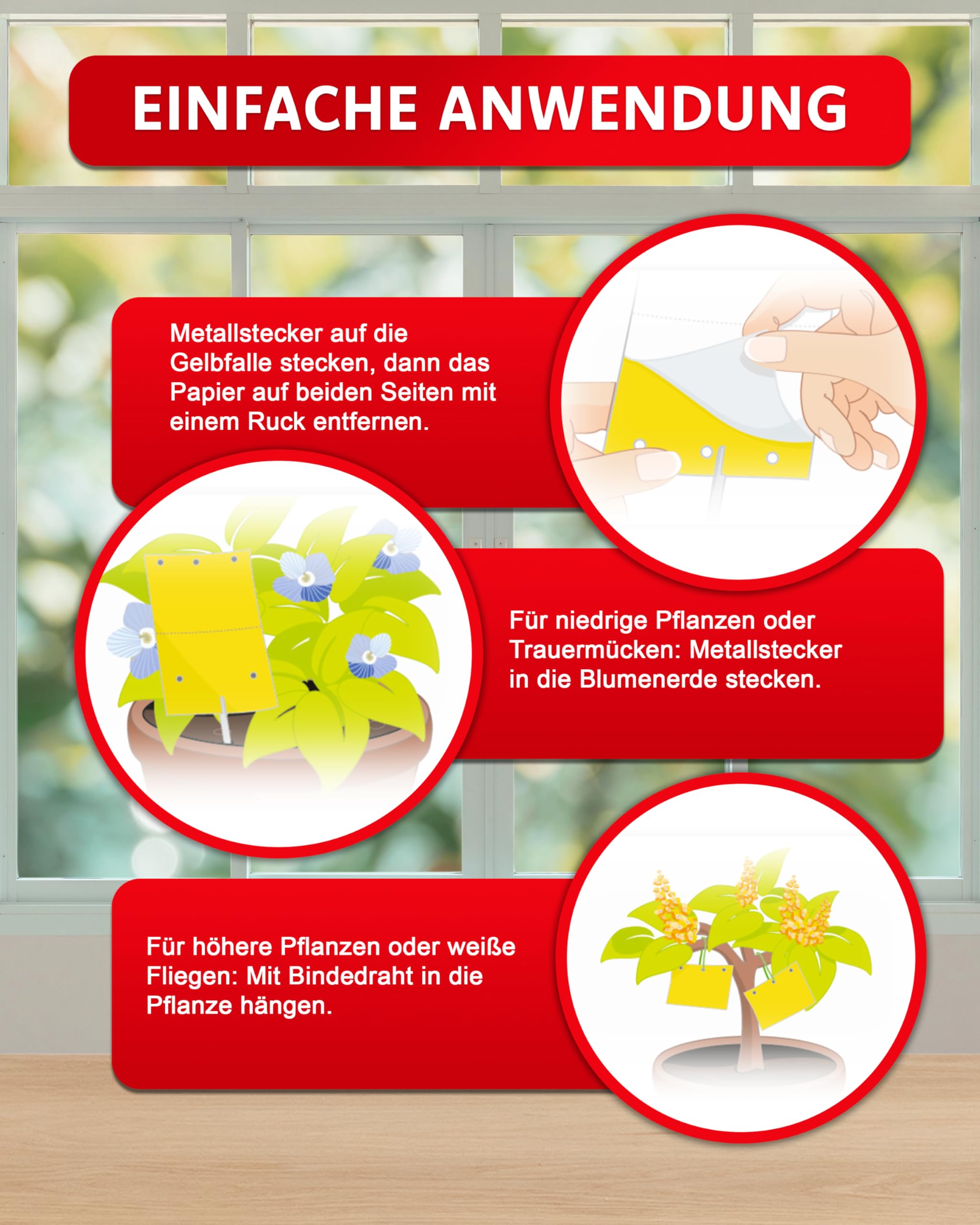 aeroxon-gelbfalle-gelbsticker-10-st-ck-gegen-trauerm-cken image 4