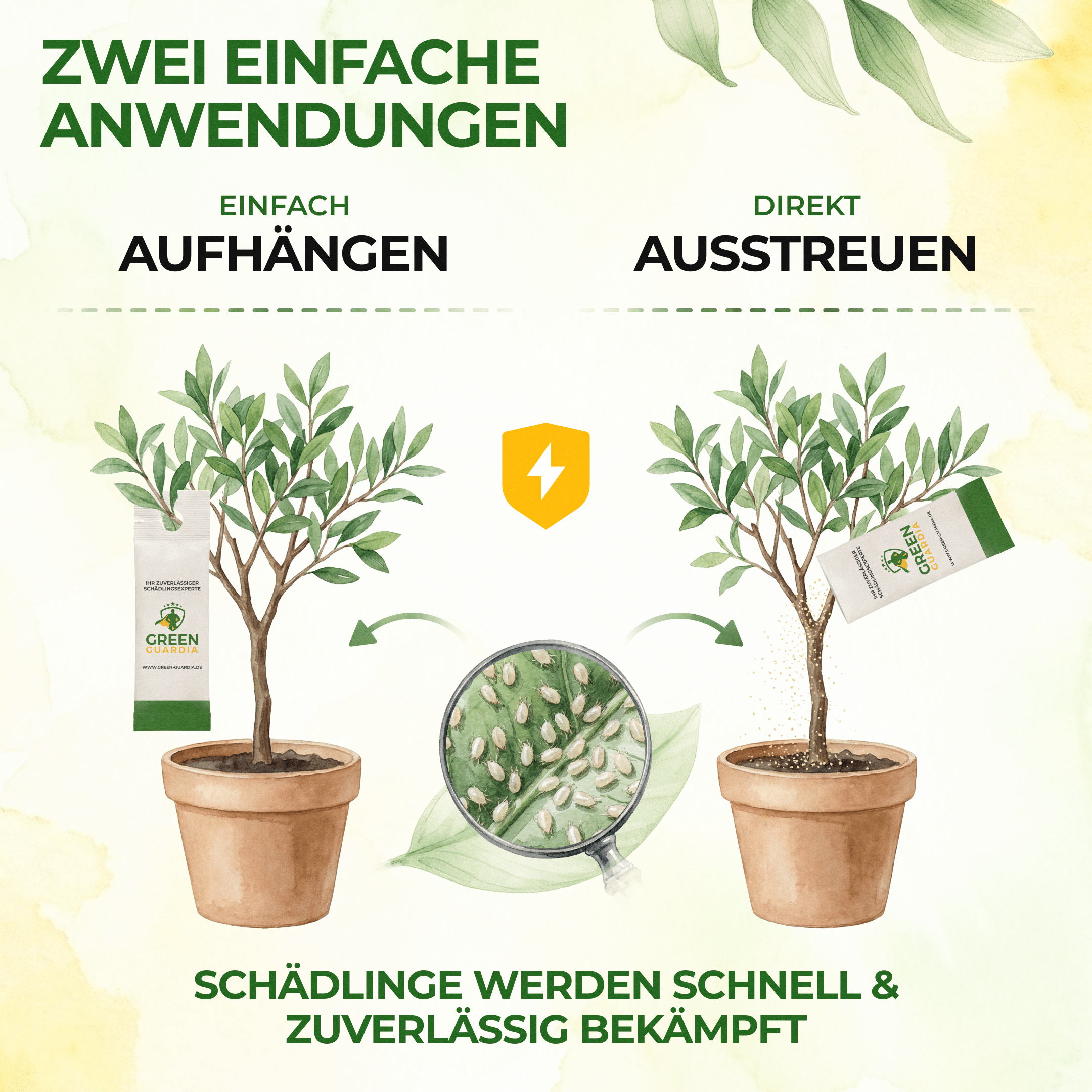 green-guardia-raubmilben-gegen-spinnmilben-1-t-te-n-tzlinge image 4