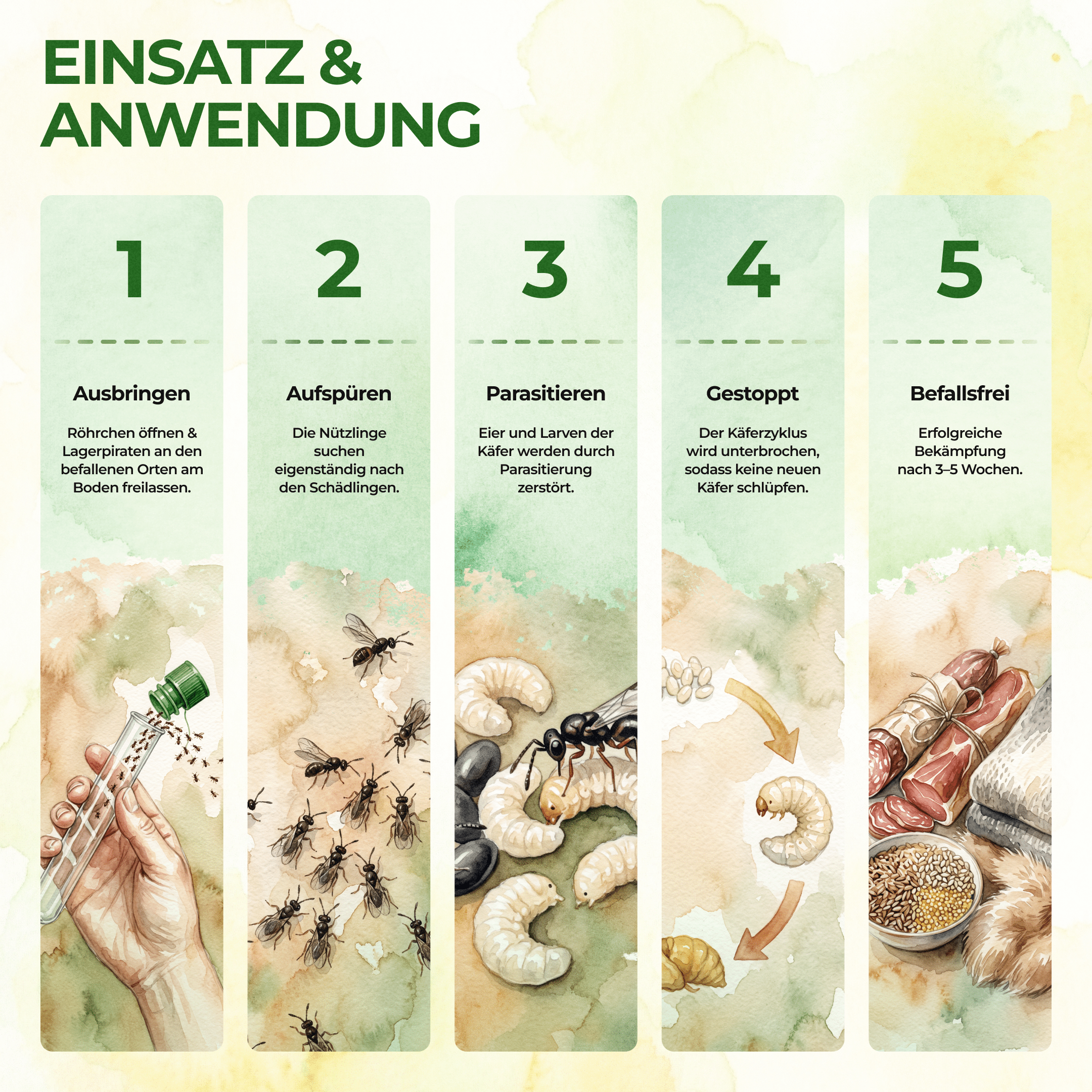 green-guardia-lagerpiraten-n-tzlinge-30-st-ck-15m image 3