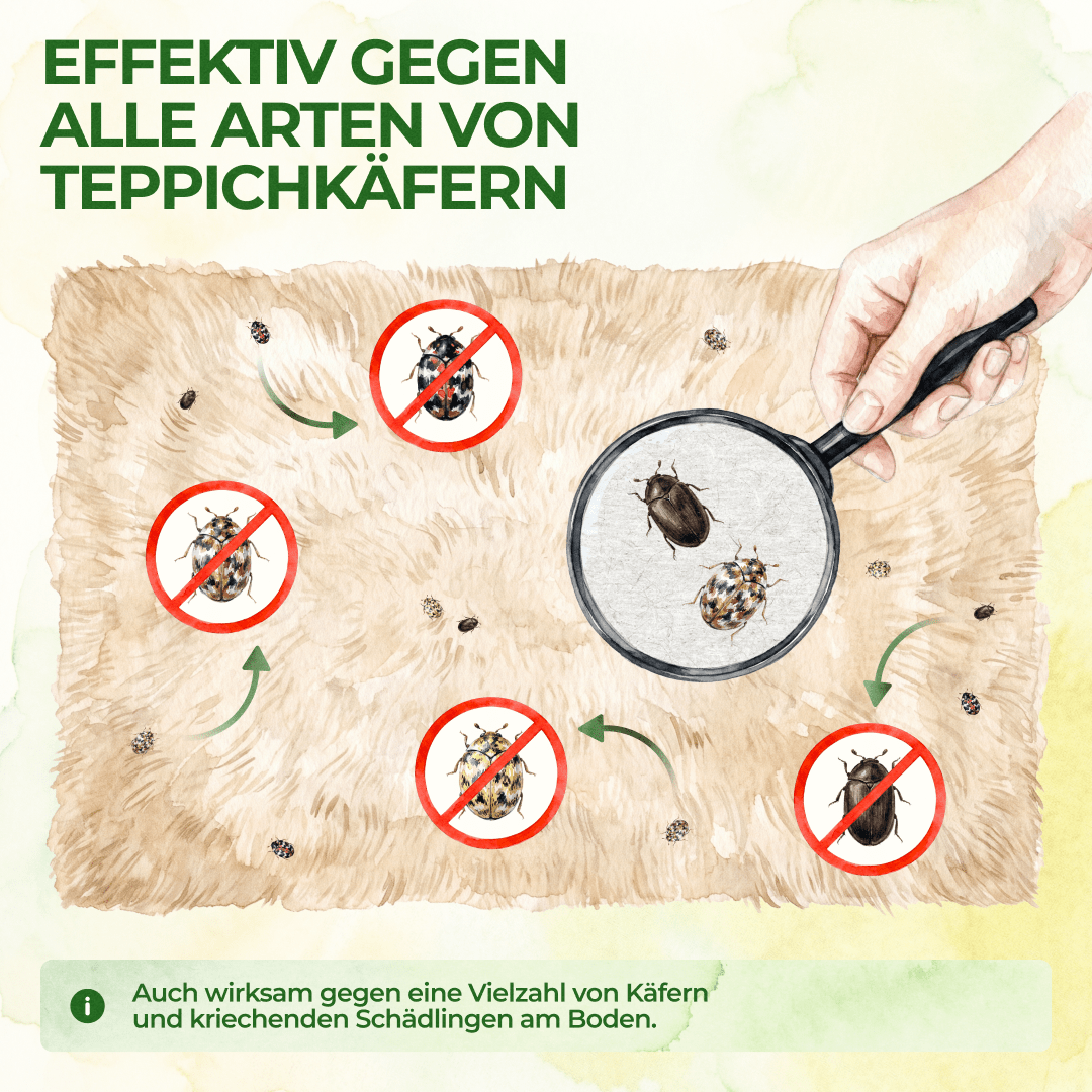 green-guardia-mehrweg-falle-teppichk-fer-falle-3-st-ck image 2