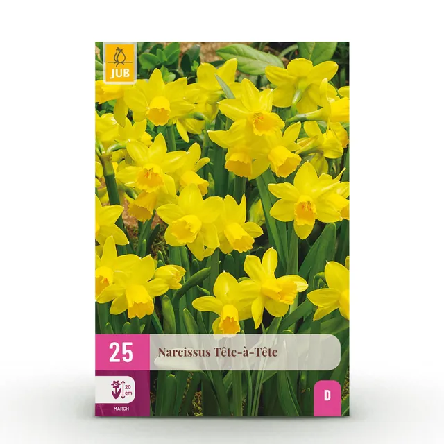green-guardia-unsere-pflanzen-narzisse-t-te-t-te-blumenzwiebeln-25-stk image 1