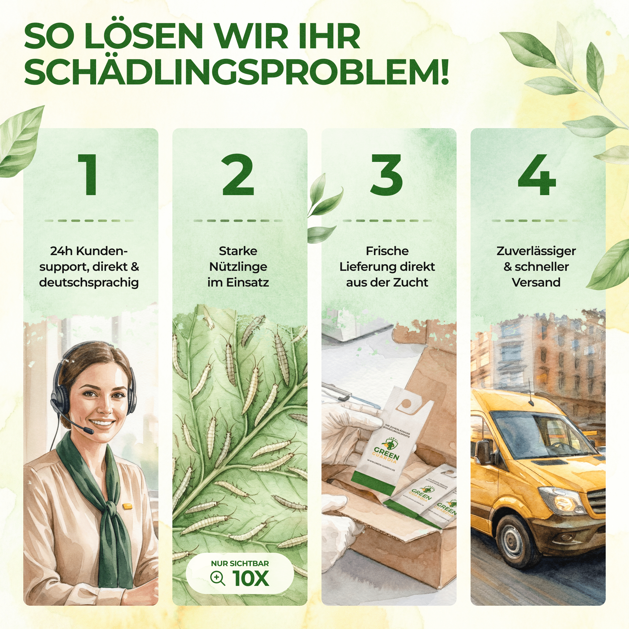 green-guardia-florfliegenlarven-und-eier-n-tzlinge-1-t-te-gegen-blattl-use image 7