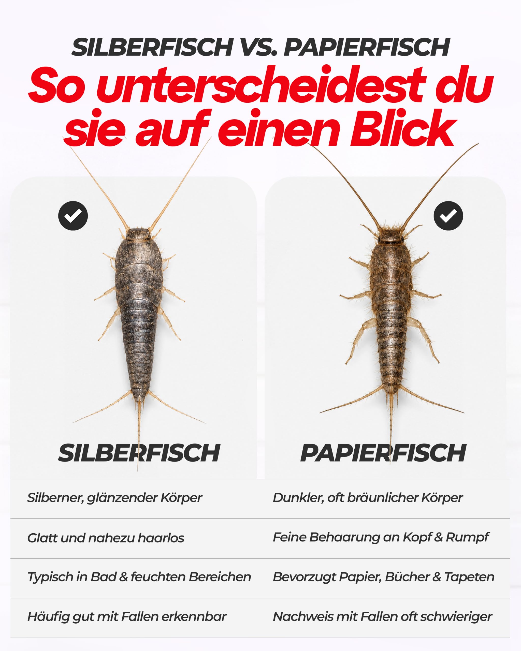 aeroxon-silberfischchen-k-derfalle-10-st-ck-giftfrei image 6