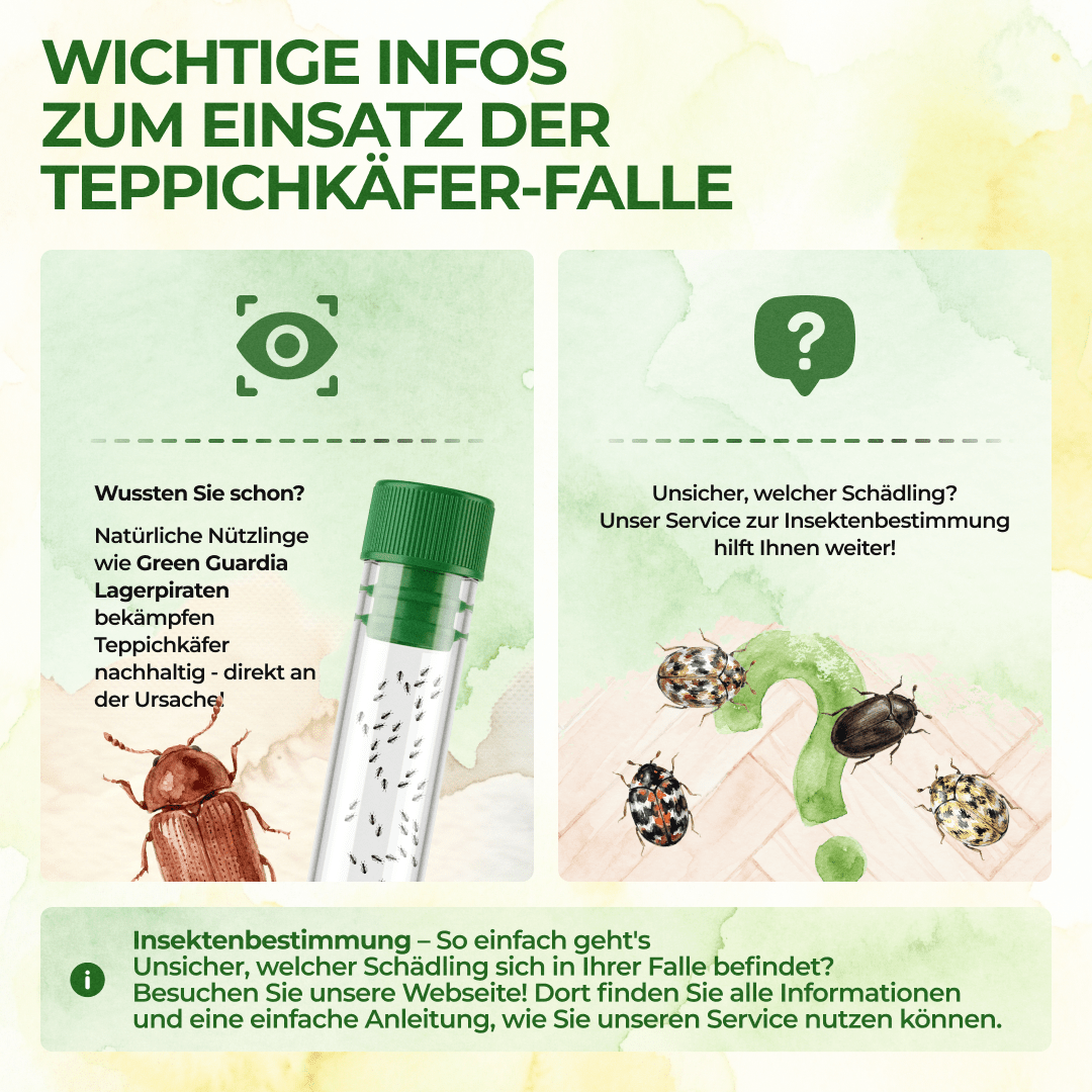 green-guardia-mehrweg-falle-teppichk-fer-falle-3-st-ck image 5