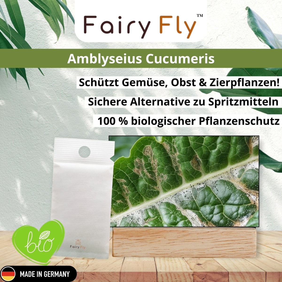 fairyfly-cucumeris-raubmilben-gegen-thripse-1-t-tchen image 2