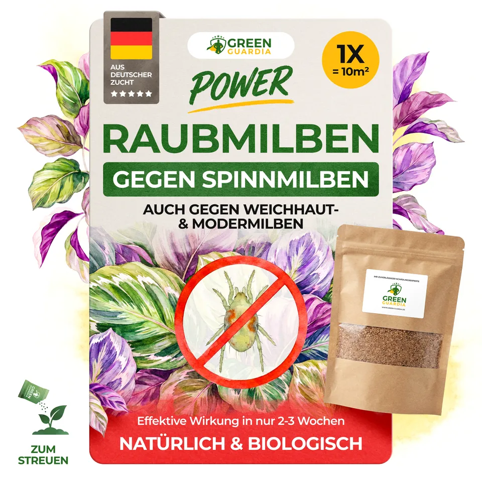 green-guardia-raubmilben-gegen-spinnmilben-1-t-te-10m image 1