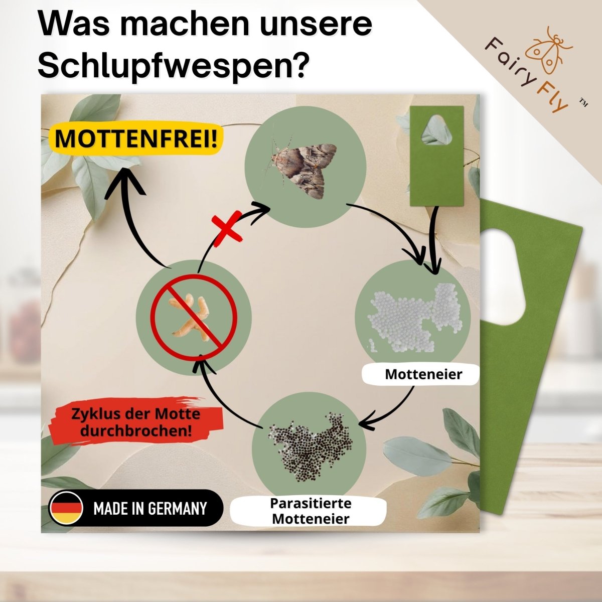 fairyfly-schlupfwespen-lebensmittelmotten-karte-1-karte-chemiefrei image 4