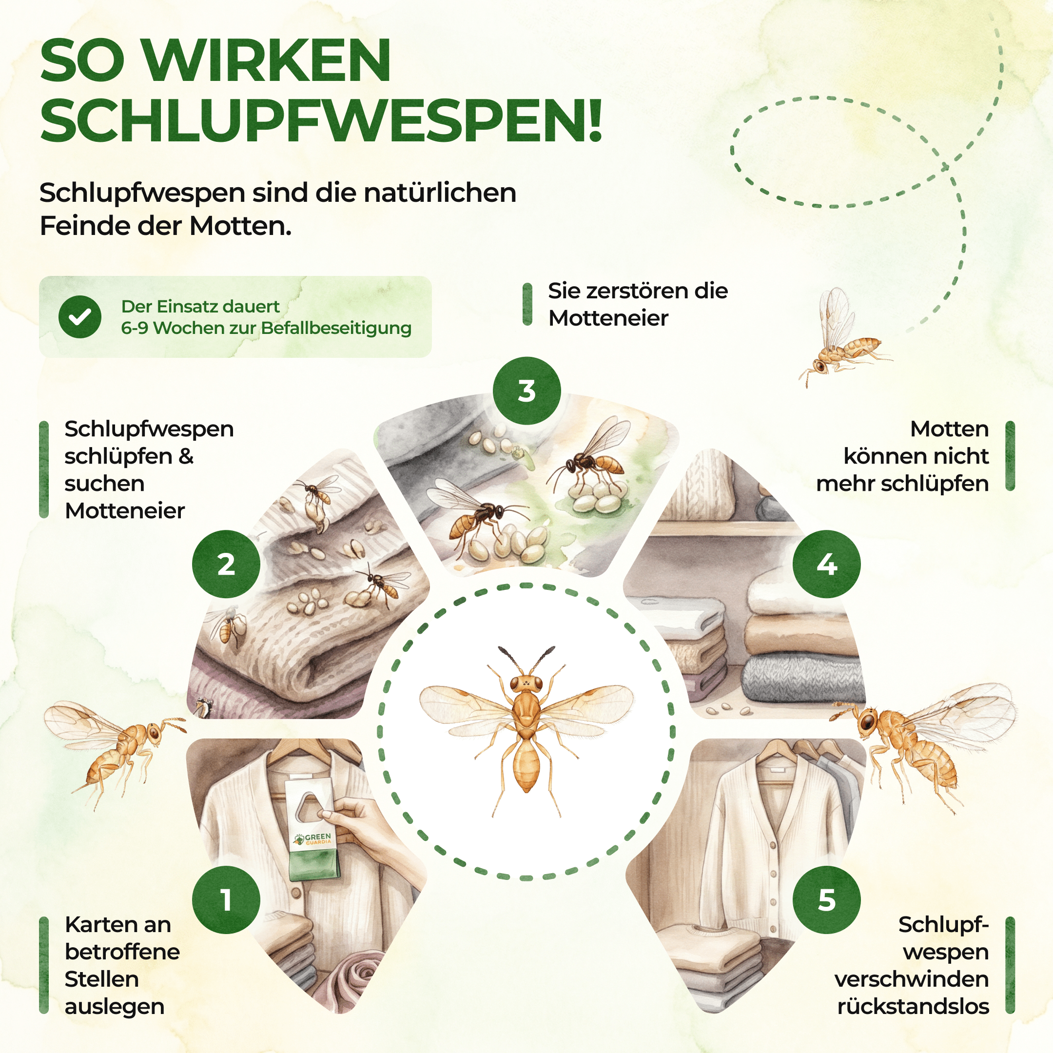 green-guardia-schlupfwespen-gegen-kleidermotten-trichogramma-1-karte image 2