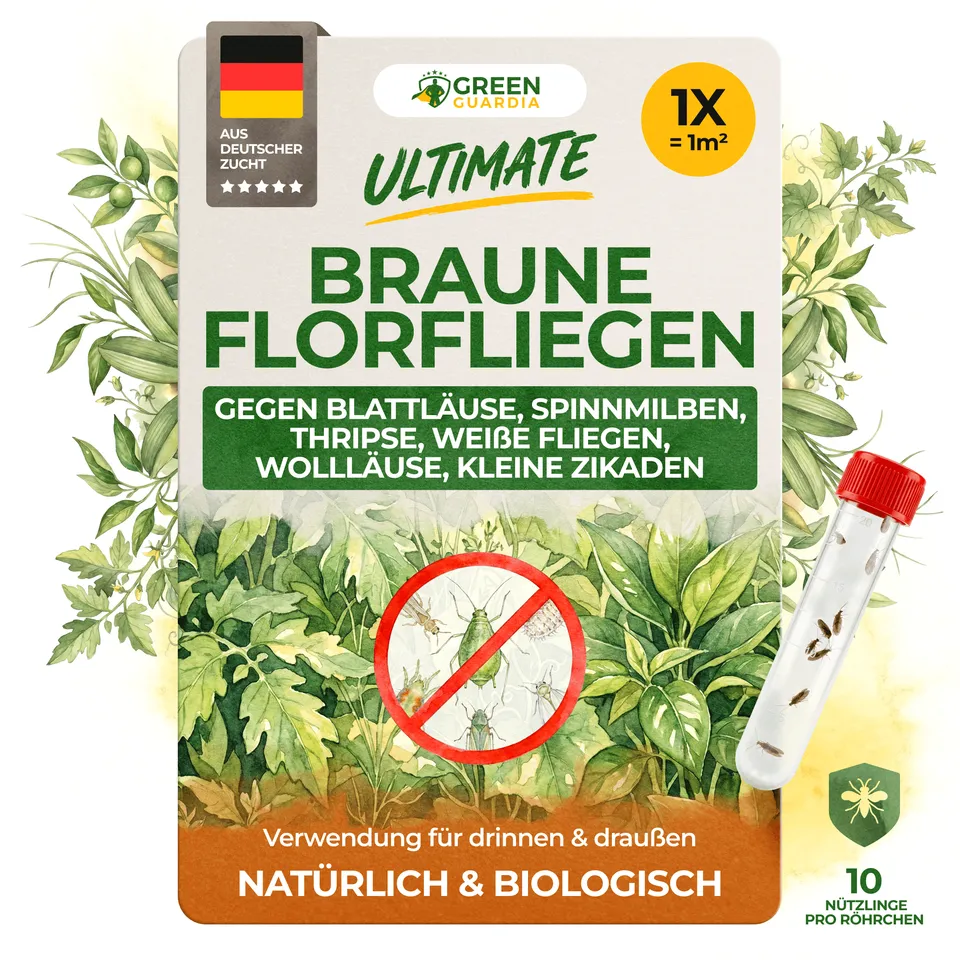 green-guardia-florfliegenlarven-braune-florfliegen-n-tzlinge-1x image 1
