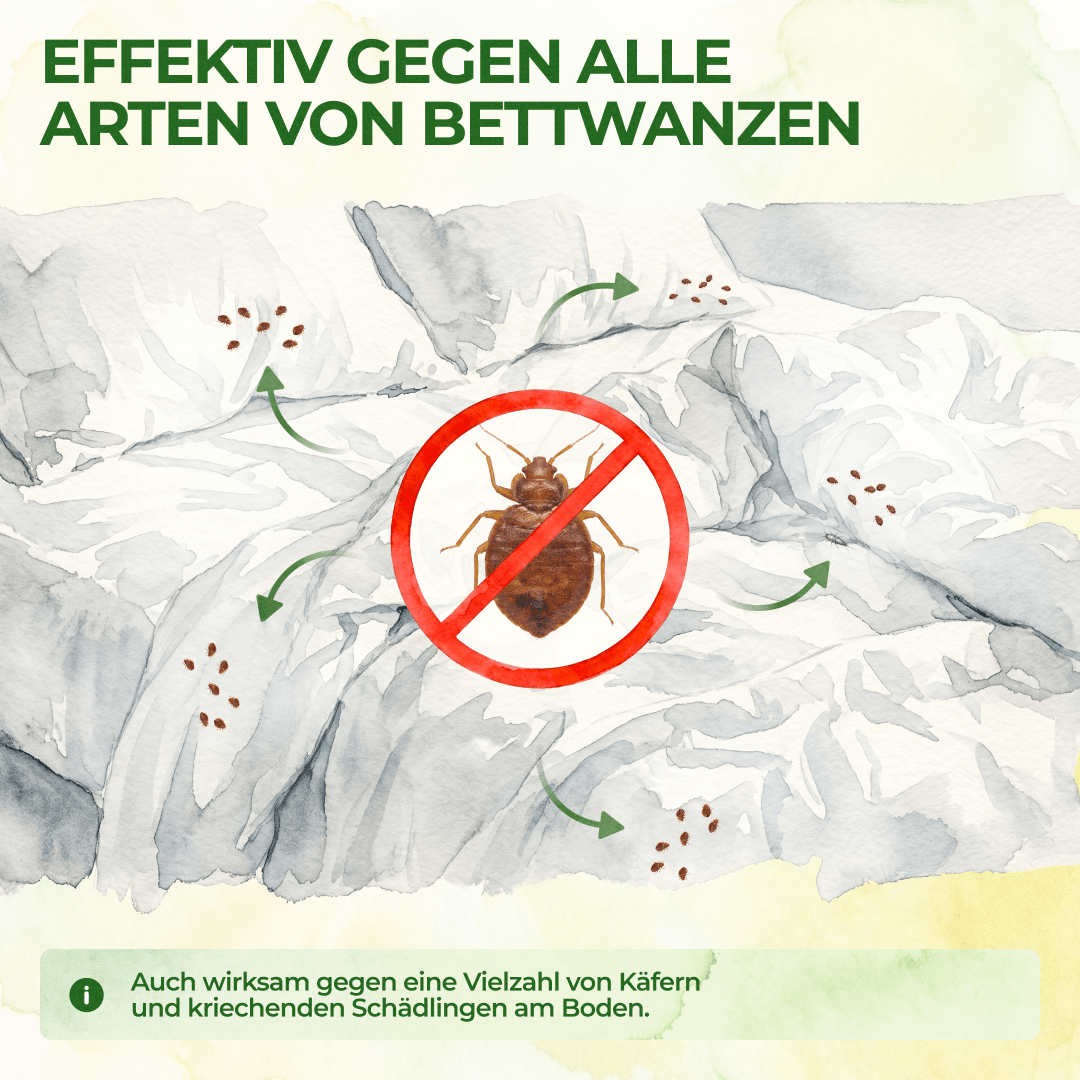 green-guardia-bettwanzen-falle-klebefalle-6x-giftfrei image 2
