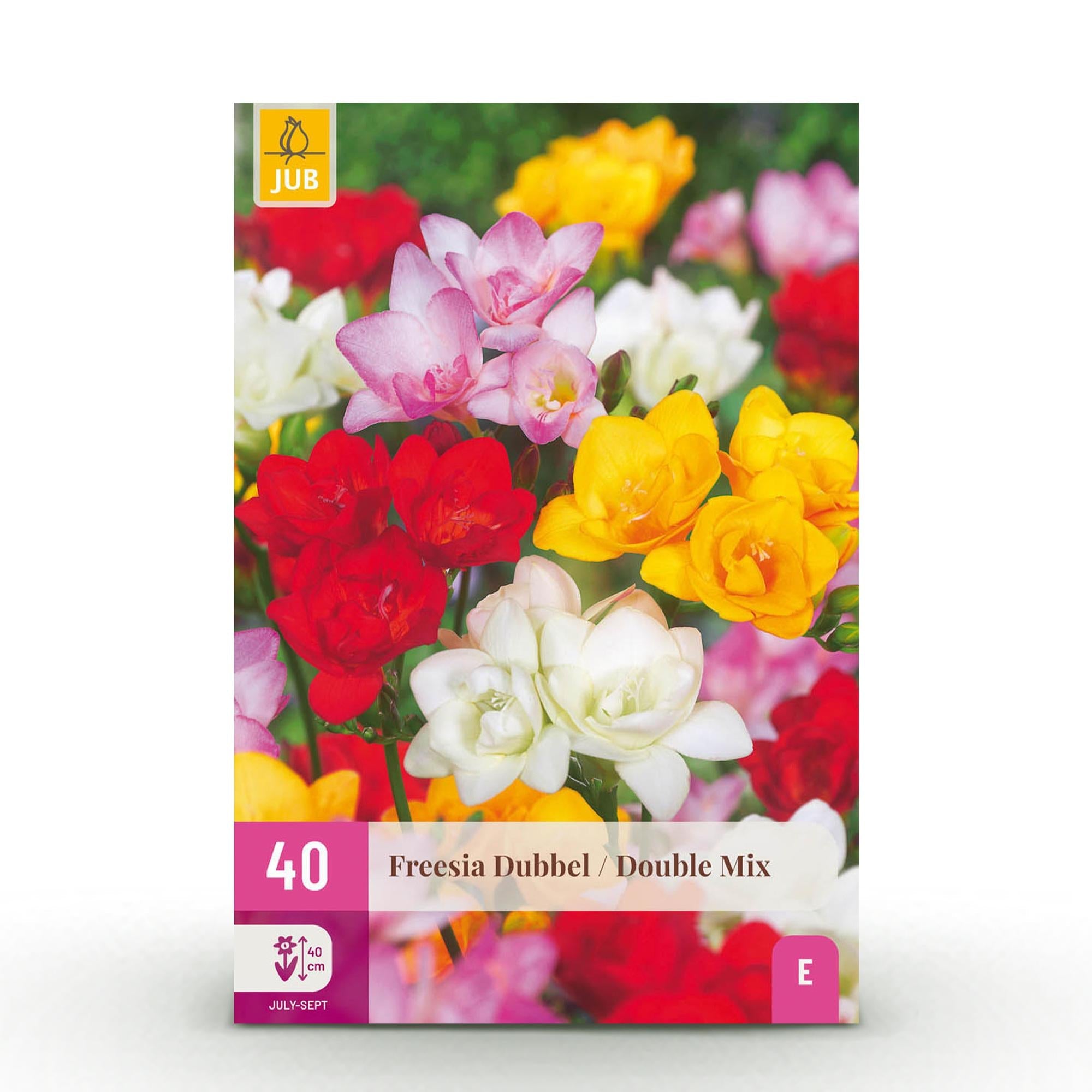 green-guardia-freesia-double-mix-blumenzwiebeln-40-st-ck-duftend image 1