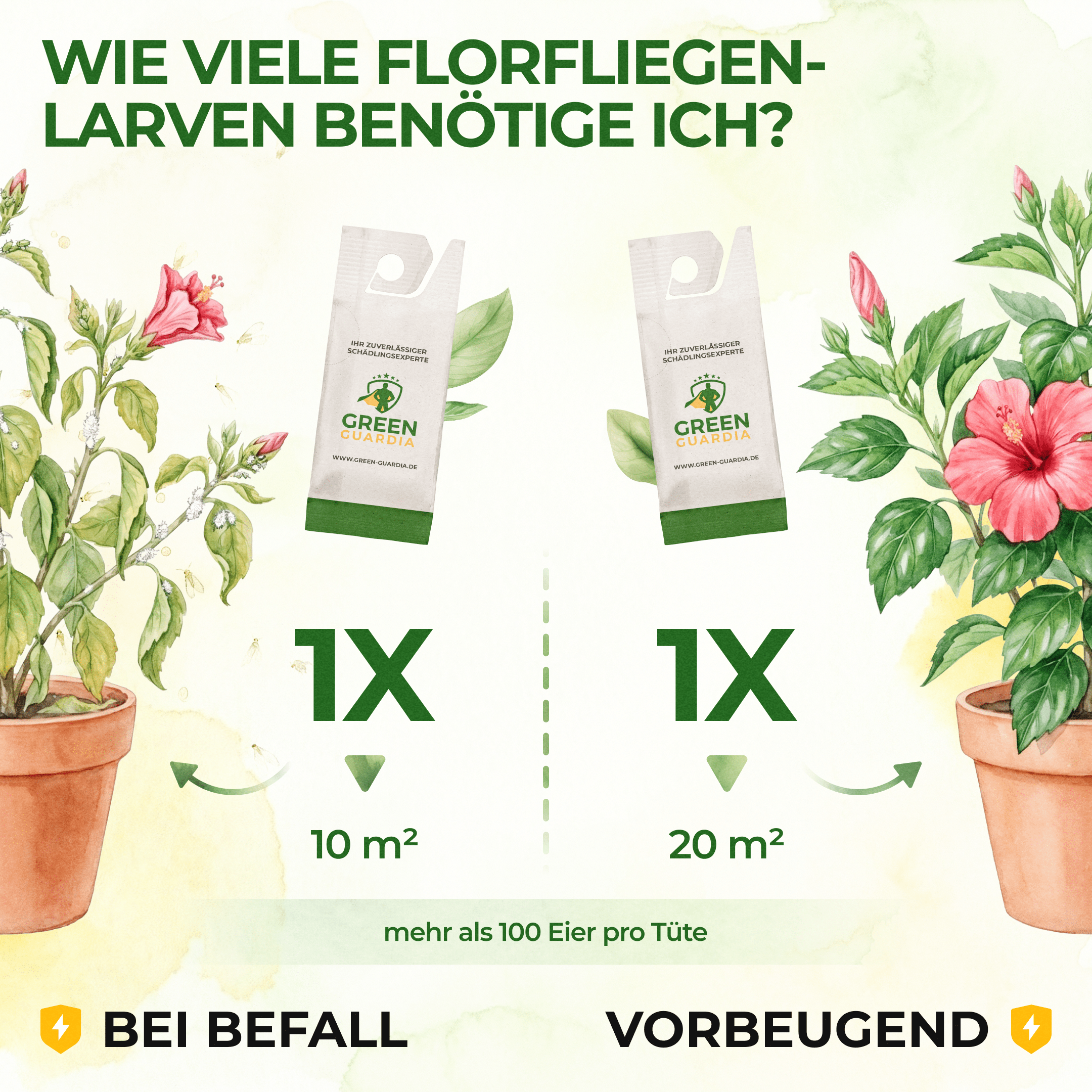 green-guardia-florfliegenlarven-und-eier-n-tzlinge-1-t-te-gegen-blattl-use image 4
