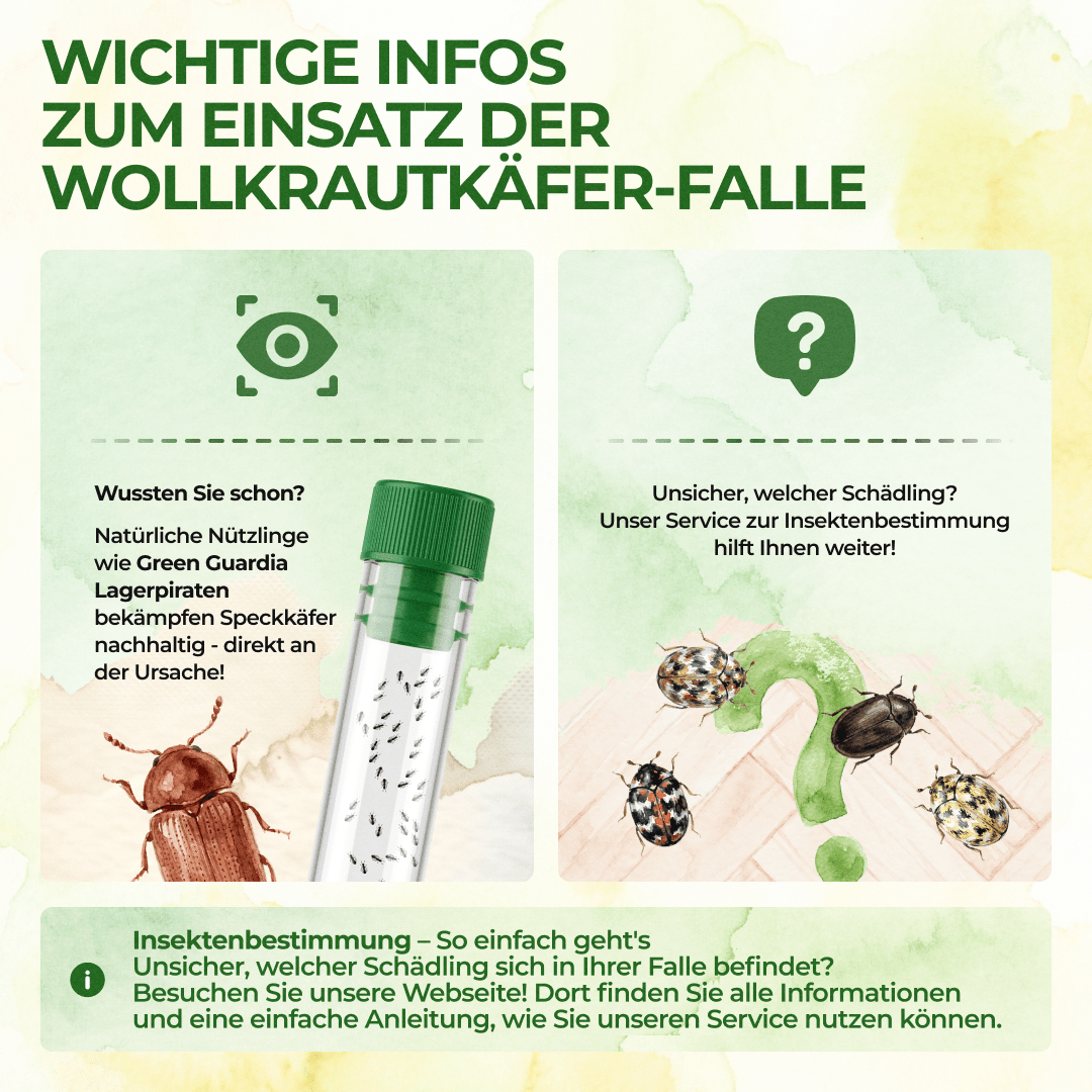 green-guardia-mehrweg-fallen-pelzk-fer-falle-1x-chemiefrei-pheromon image 7