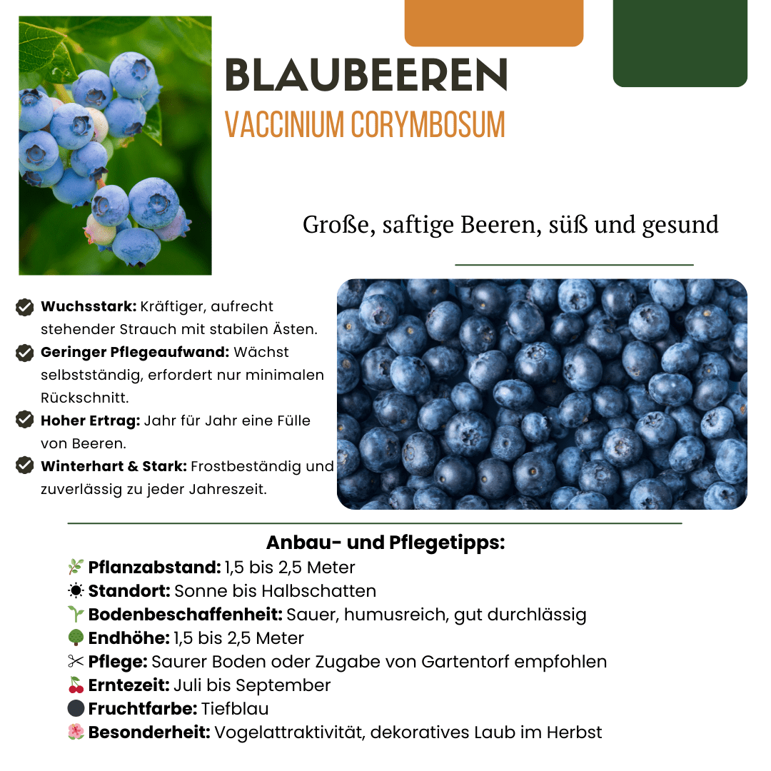 green-guardia-unsere-pflanzen-bio-obstpflanzen-mix-fr-chteparadies-4er image 7