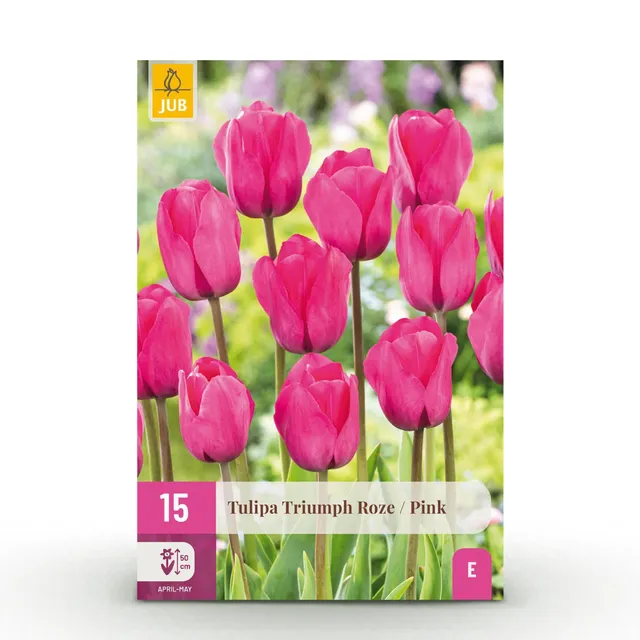 green-guardia-tulpe-triumph-pink-blumenzwiebeln-15-st-ck-rosa image 1