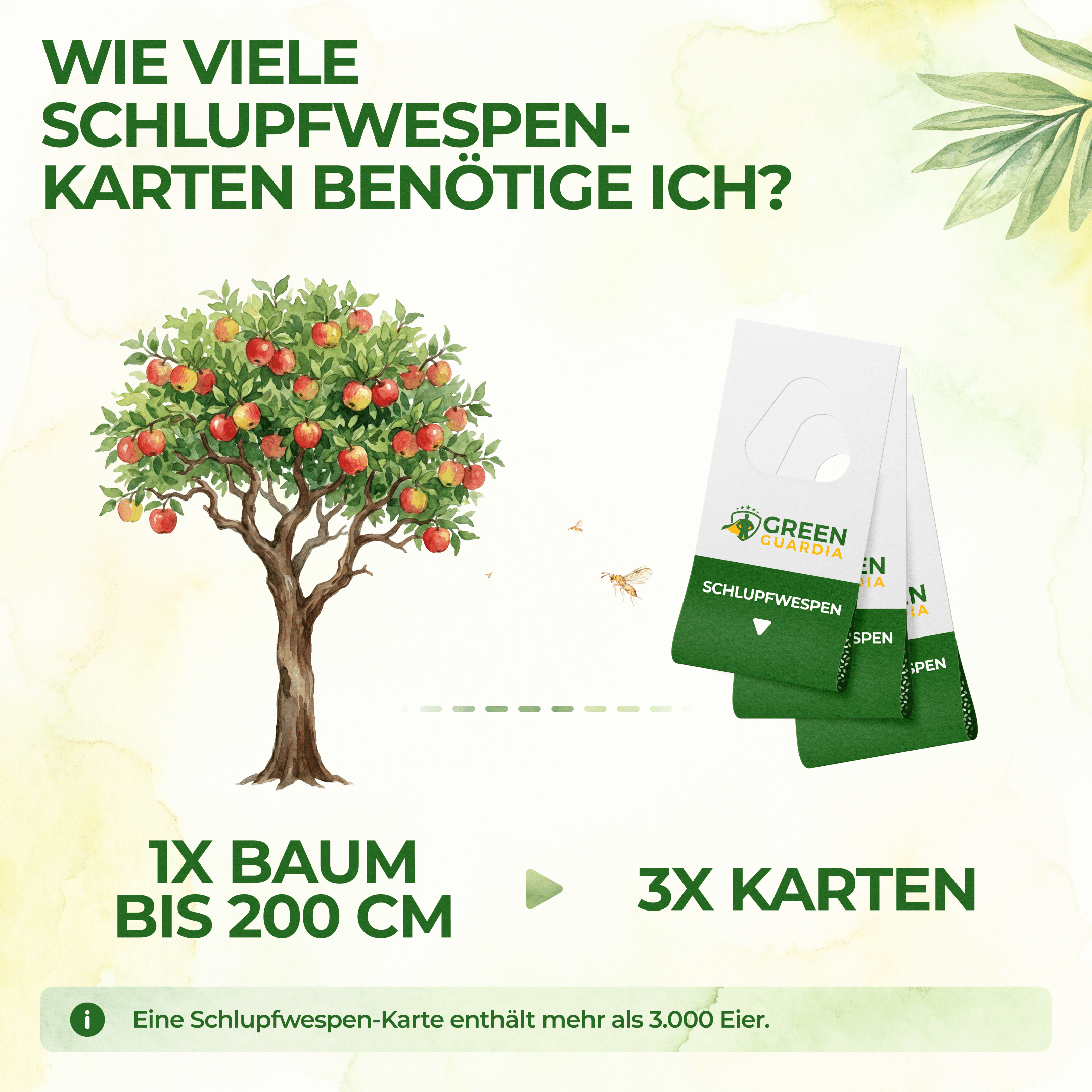 green-guardia-schlupfwespen-gegen-apfelwickler-3-karten-biologisch image 4