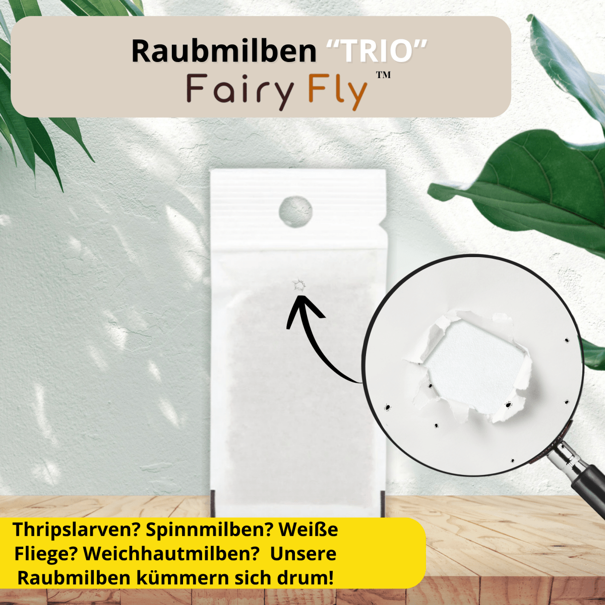 fairyfly-raubmilben-trio-thripse-spinnmilben-3-t-ten image 5