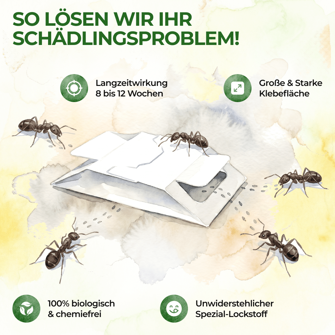 green-guardia-mehrweg-fallen-ameisen-falle-3x-giftfrei image 5